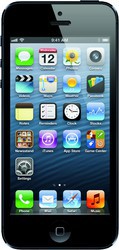 Apple iPhone 5 16GB - Саранск
