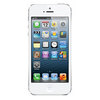 Apple iPhone 5 16Gb white - Саранск